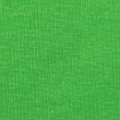 92 - green apple